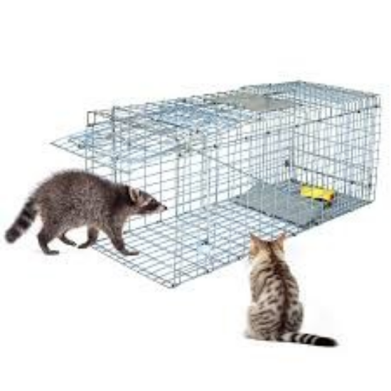 Picture of Live Trap